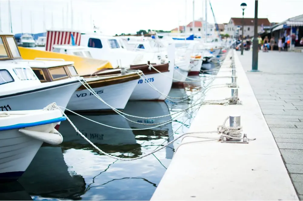 sailboat illustration