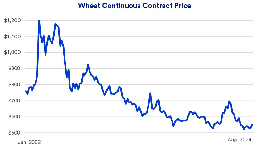 Chart depicts wheat prices on the Chicago Board of Trade between January 2022 - August 30, 2024.